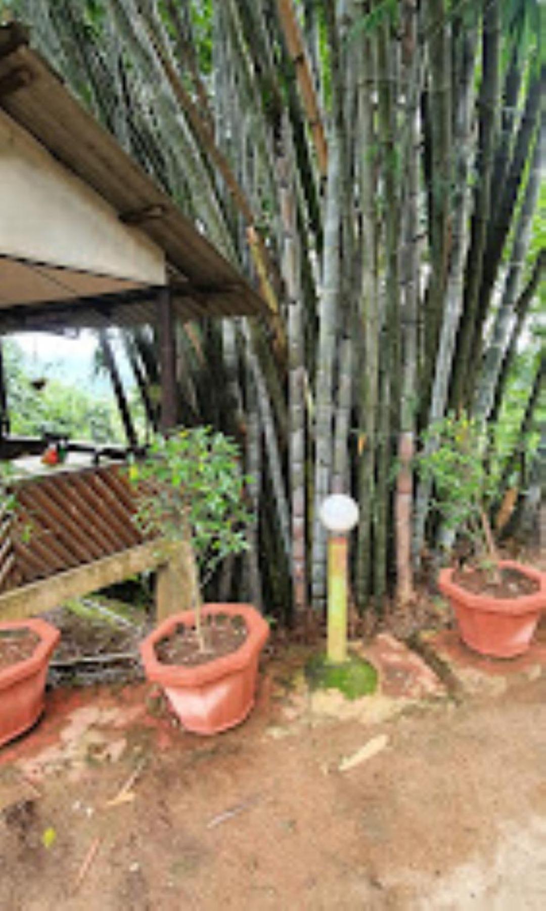 Brahmaputra Jungle Resort Guwahati Exterior foto